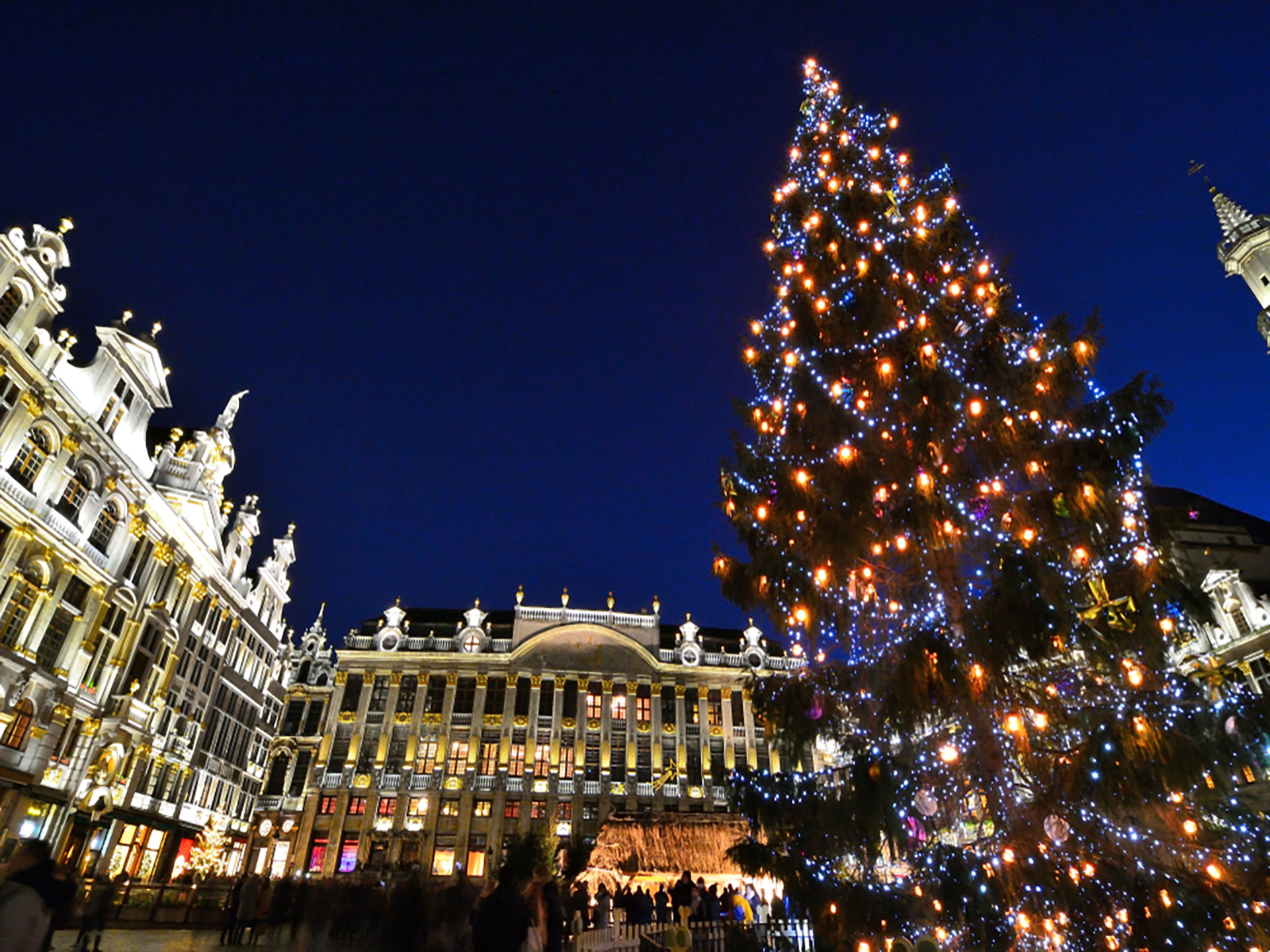 2024/12/22 - Dimanche - 22/12 - Bruxelles, Plaisir d'Hiver et ses marchés de Noël-image